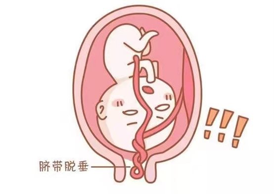 微信图片_20211026160321.jpg